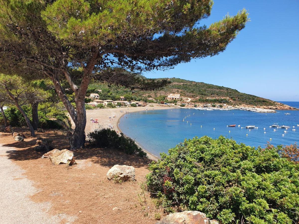 Villa Les Palmiers -Stretta Di I Mandarini Люссиана Экстерьер фото